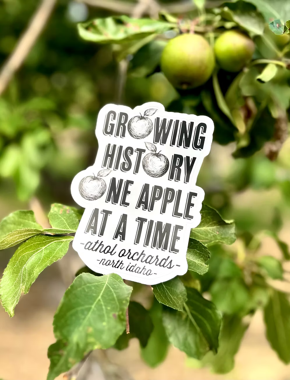 Orchard Swag &  Apparel | Athol Orchards